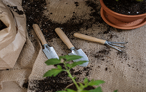 Giardinaggio e manutenzioni
